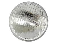 Head Light sealed beam