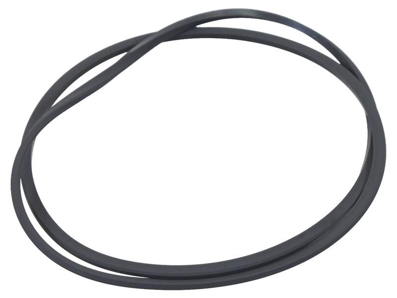 Remzuiger afdichting R126399