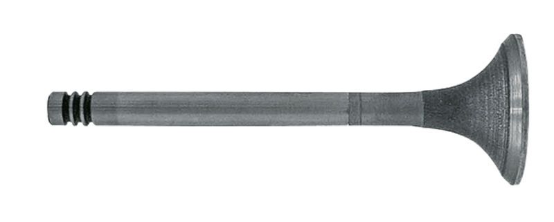 Exhaust Valve