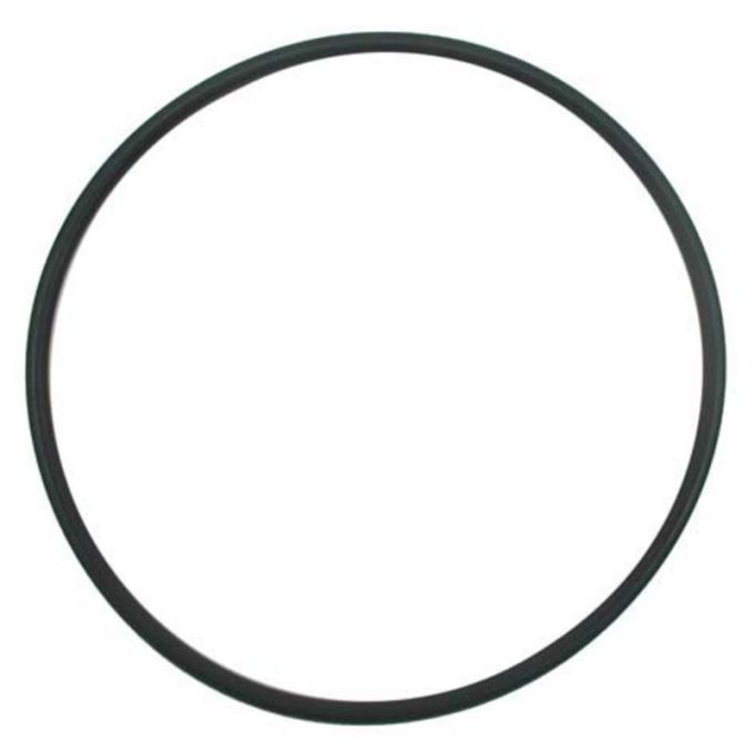 O-ring