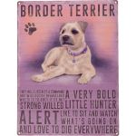 Bord Border Terrier
