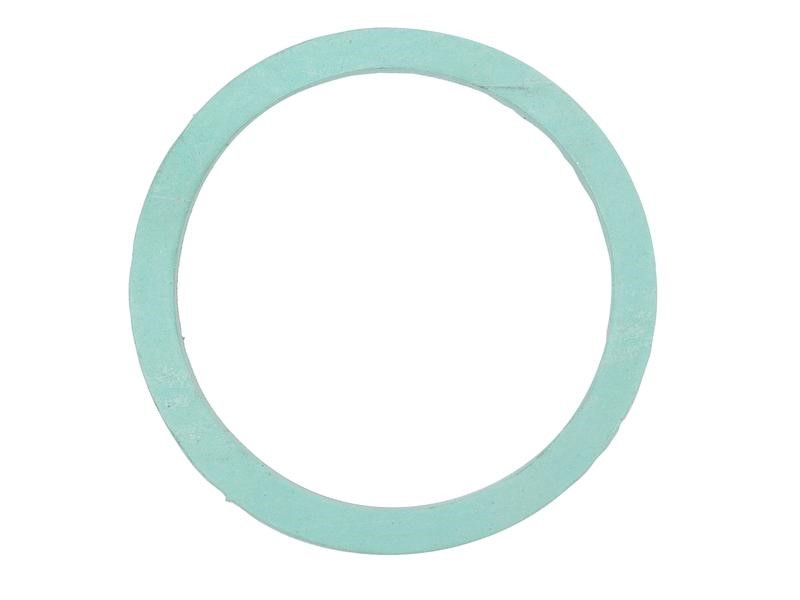 Transmission Plug Gasket