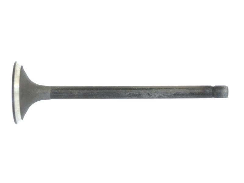 Exhaust Valve
