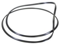 O-ring L156891