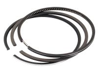 Zuigerverenset (100mm)