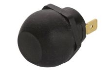 Hornknopf