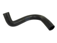 Bottom Hose