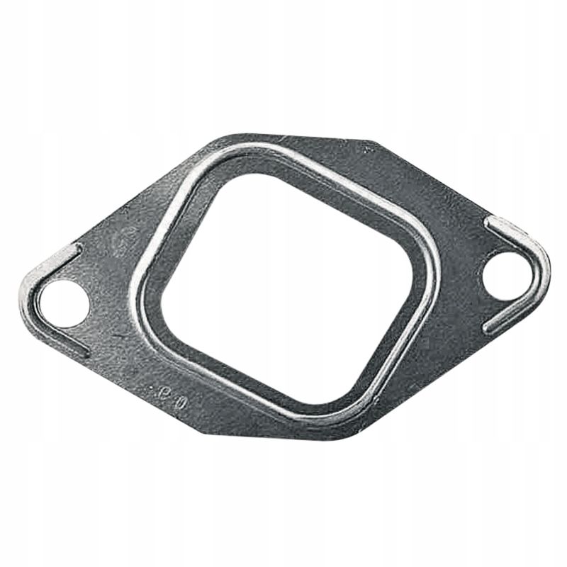 Exhaust Manifold Gasket