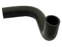 Bottom Hose