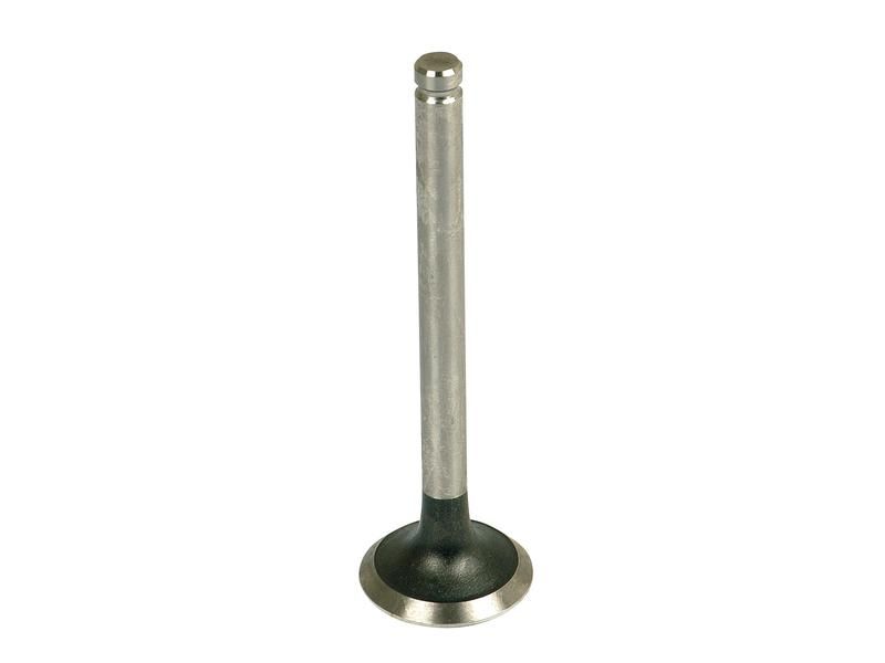 Exhaust Valve