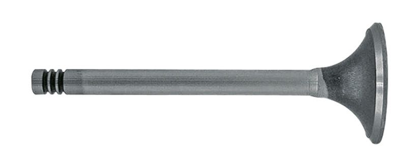 Inlet Valve