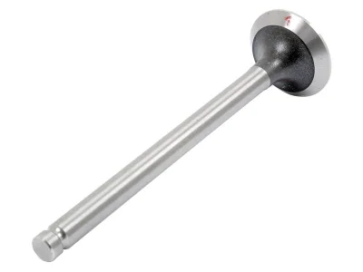 Exhaust Valve