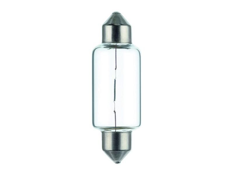 Gloeilamp (Halogeen) C21W, 12V, 21W, SV8.5-8