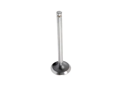 Inlet Valve