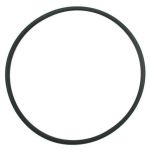 O-ring