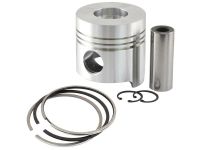 Piston And Ring Set
