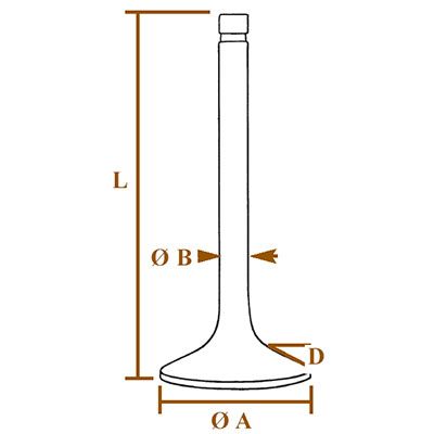 Exhaust Valve