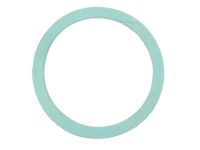 Transmission Plug Gasket