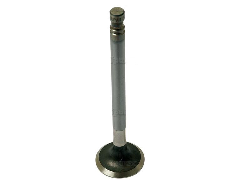 Exhaust Valve