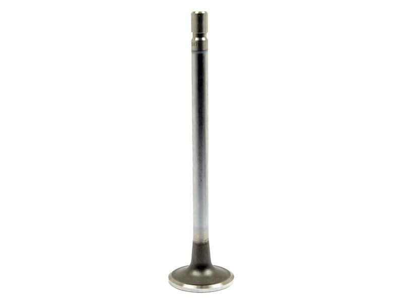 Exhaust Valve