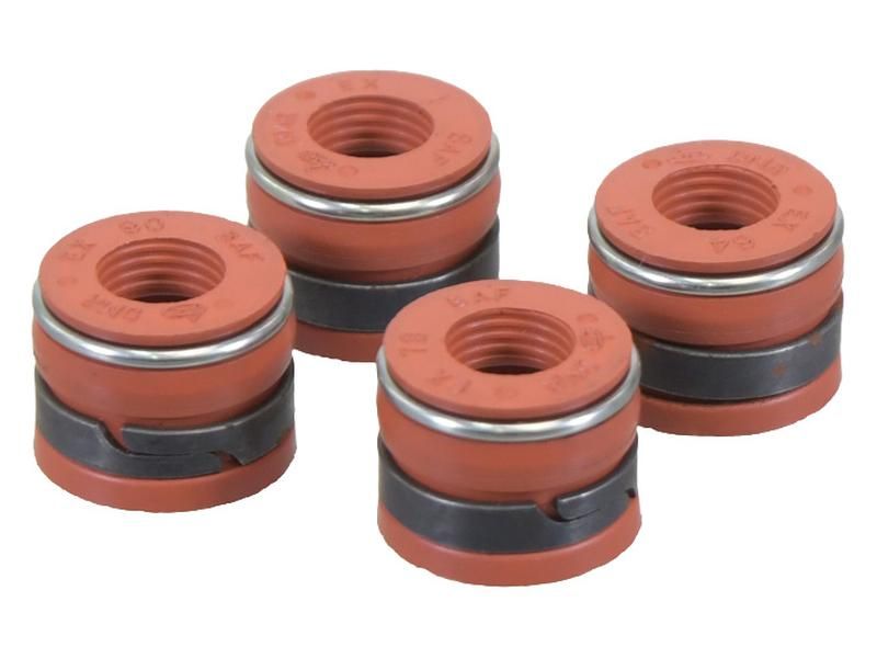 Klepdichting RE31617