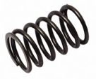 Valve Spring inner