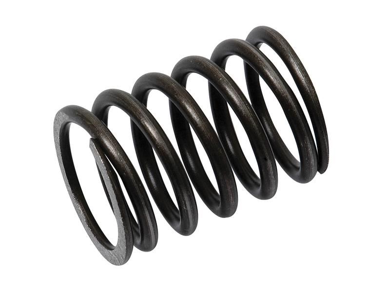 Valve Spring