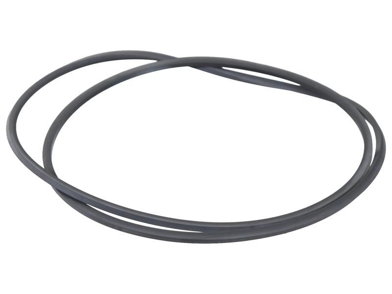 Remzuiger afdichting R122850