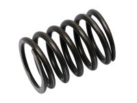 Valve Spring