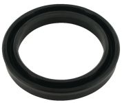 Piston Seal