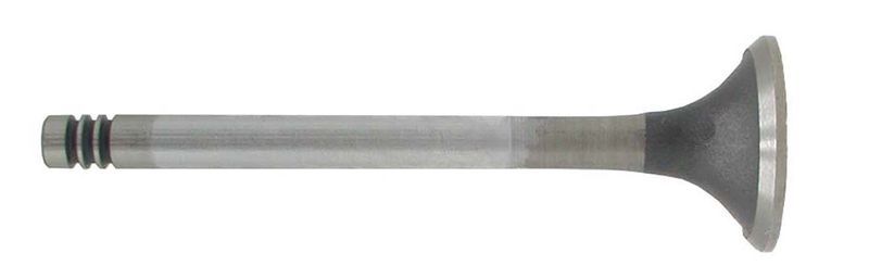 Exhaust Valve