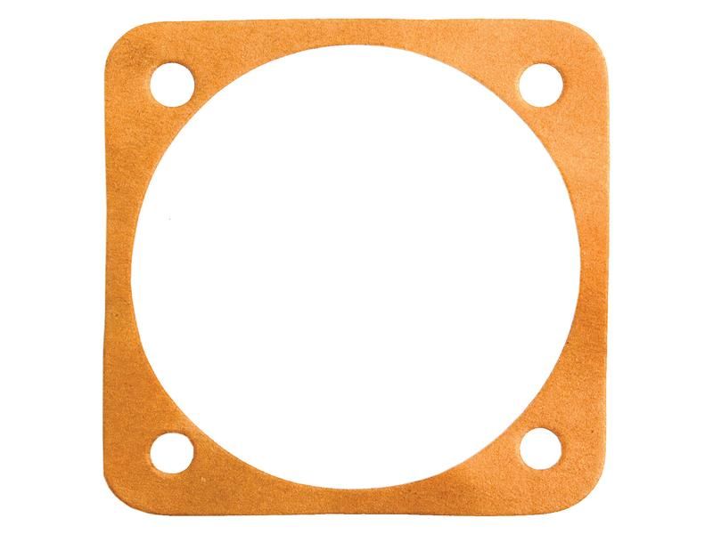 Transmission Input Gasket